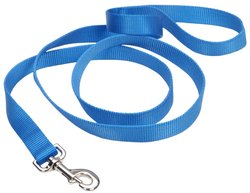 Coastal Single Ply Nylon Leash Blue Lagoon Dog 1in x 6ft