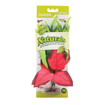 Marina Naturals Red & Green Pickerel Silk Plant, Medium, 23-25.5 cm (9-10")