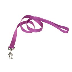 Coastal Single Ply Nylon Leash Orchid Dog 3/4in x 6ft
