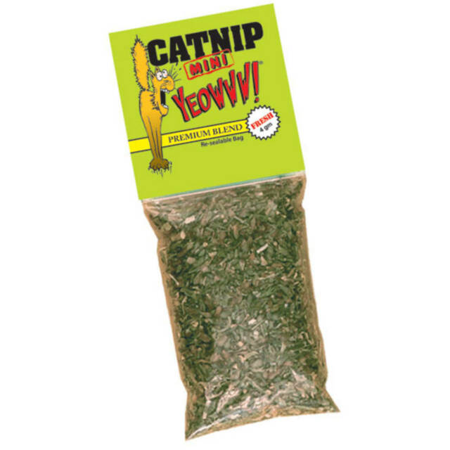 Yeowww Catnip 4G