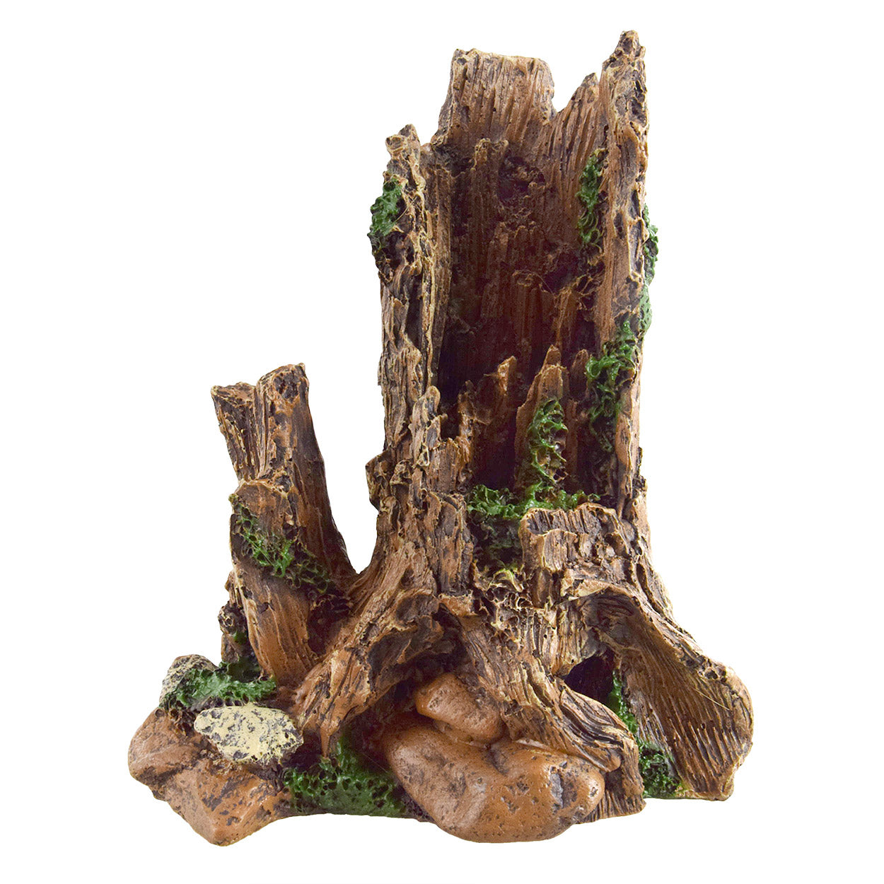 Stump with Vines