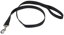 Coastal Single Ply Nylon Leash Black Dog 1in x 6ft