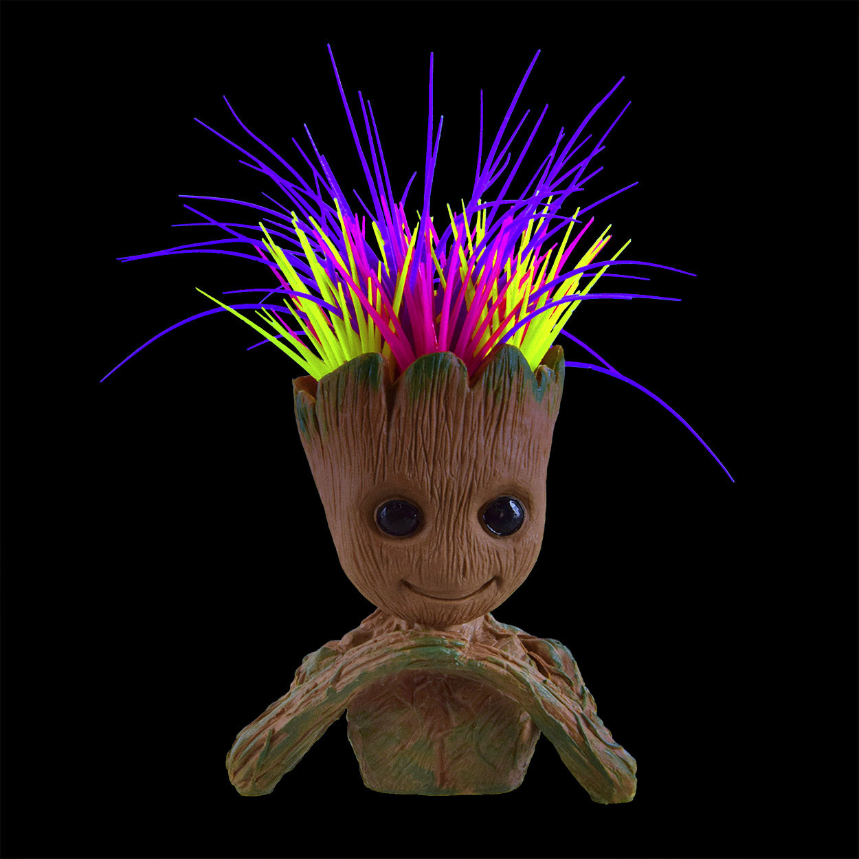 Anemone Head