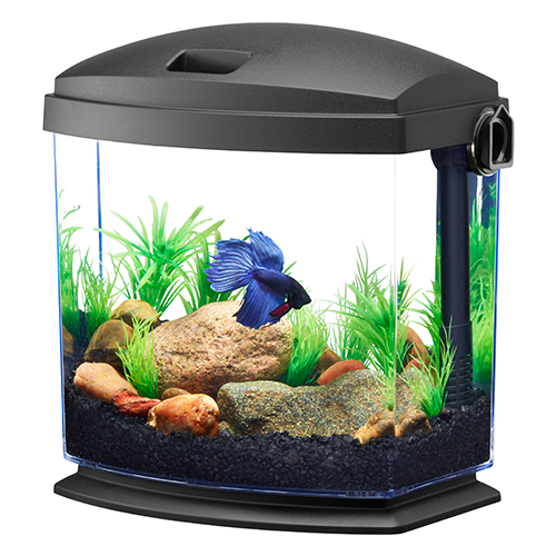 Aqueon BettaBow 1 Aquarium Kit With Quick Clean Technology