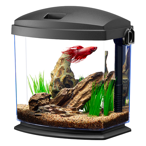 Aqueon BettaBow 1 Aquarium Kit With Quick Clean Technology