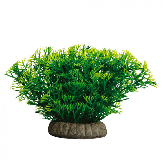 GloFish Plant Javamoss Medium