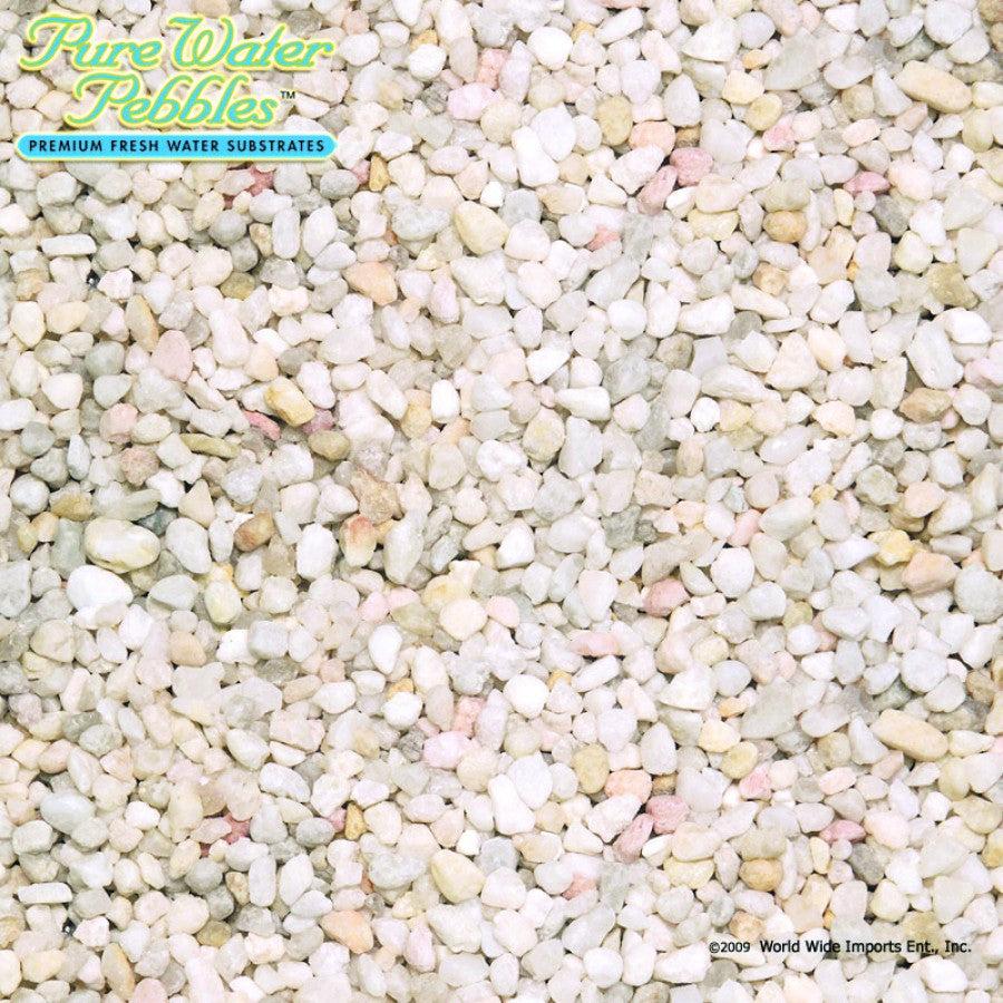 WWI 30025 Carolina 5lb