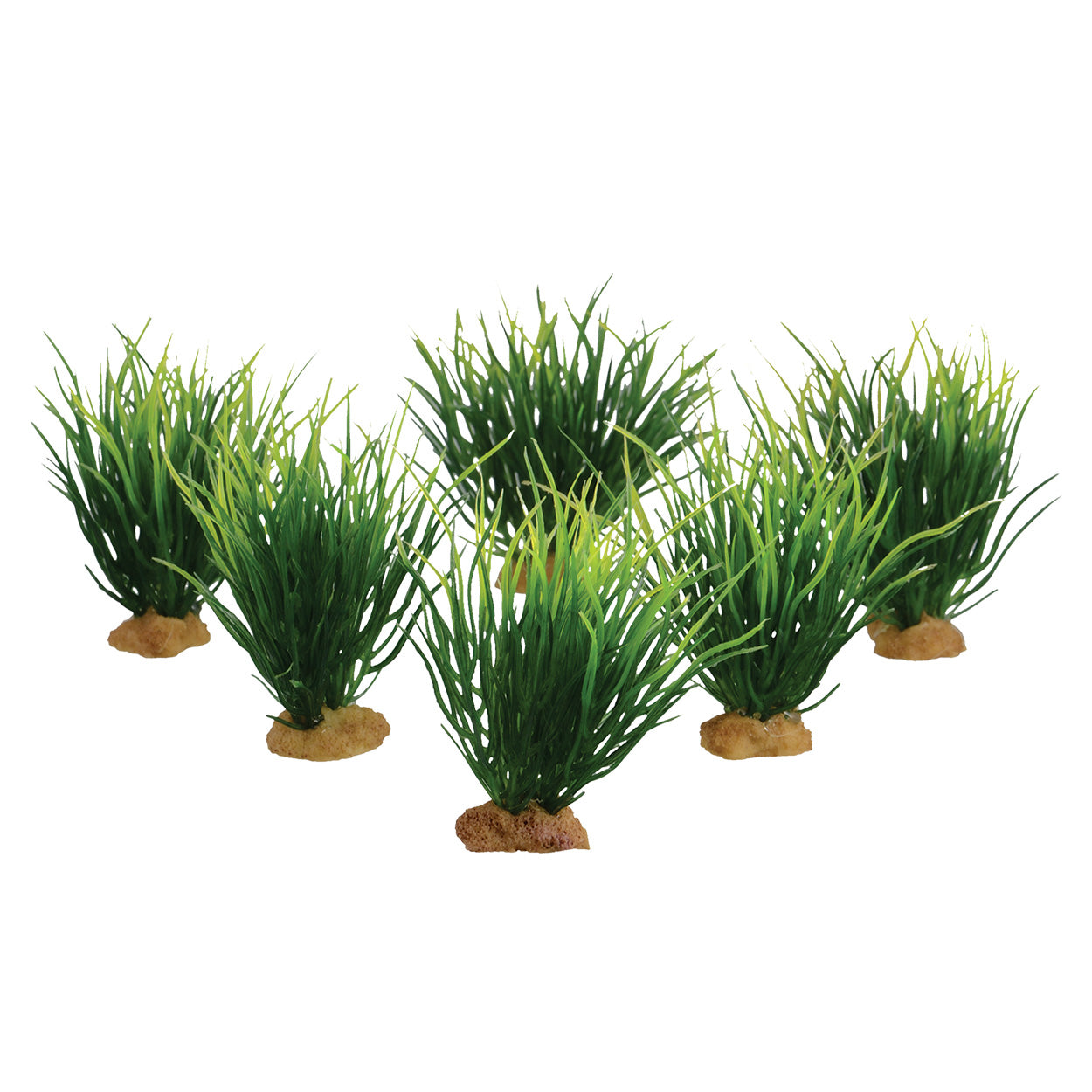 Underwater Treasures Carp Grass - 3.5" - 6 pk