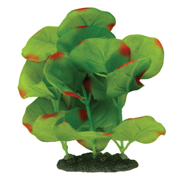 Marina Naturals Green Moneywort Foreground Silk Plant, Small
