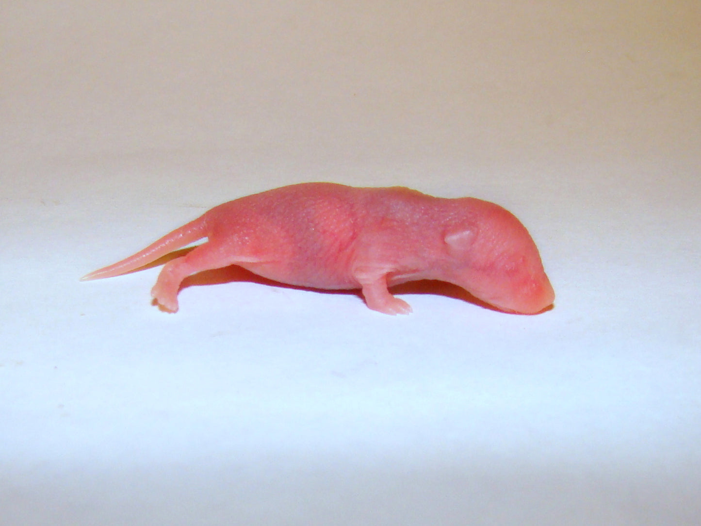 Frozen - Mouse Pinky