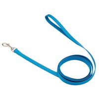 Coastal Single Ply Nylon Leash Blue Lagoon Dog 5/8in x 6ft