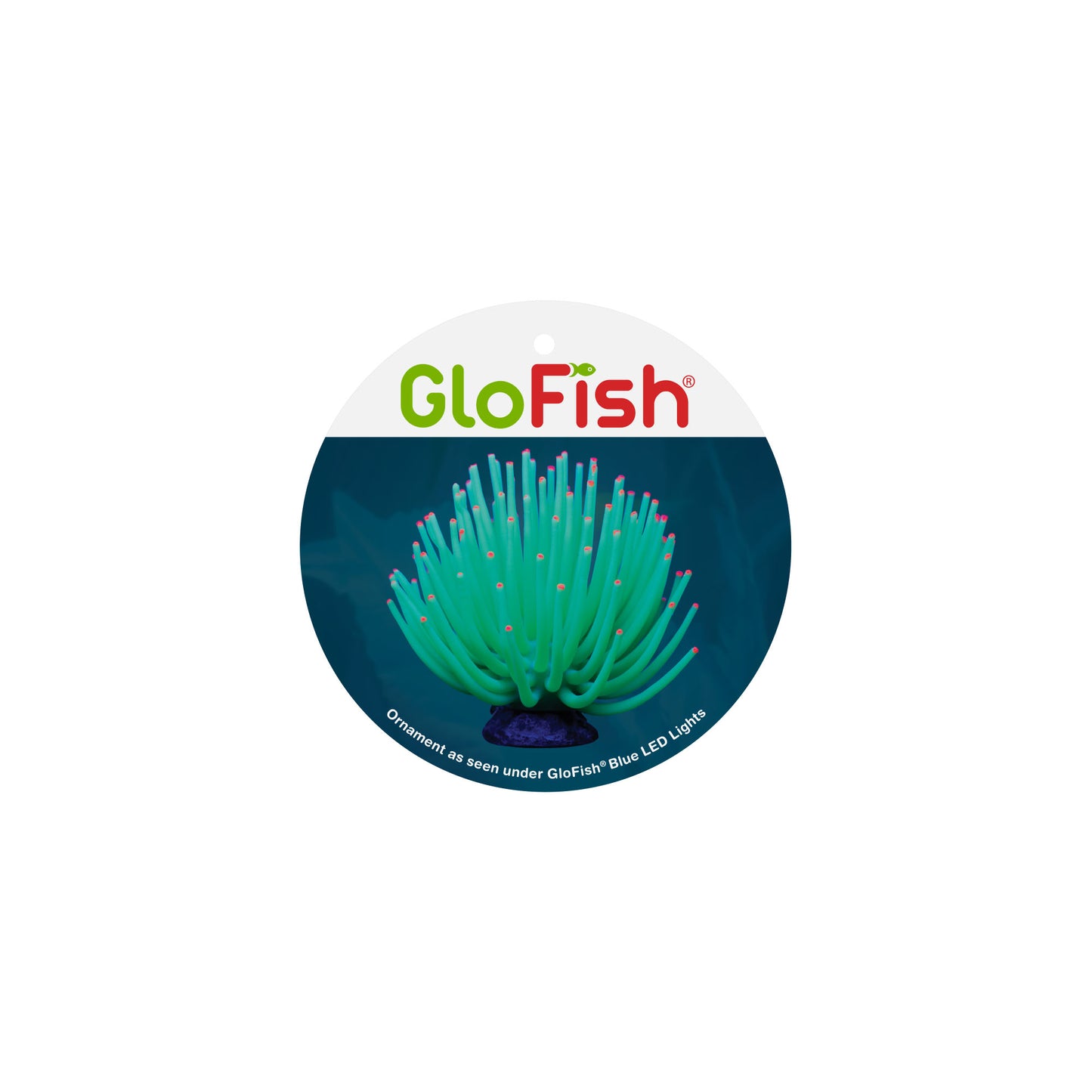 Spectrum Brands GloFish Anemone Large Green