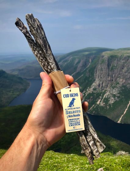 Land & Sea Cod Skin Selects Bundles of 5 Skins 12" Dog 10pk