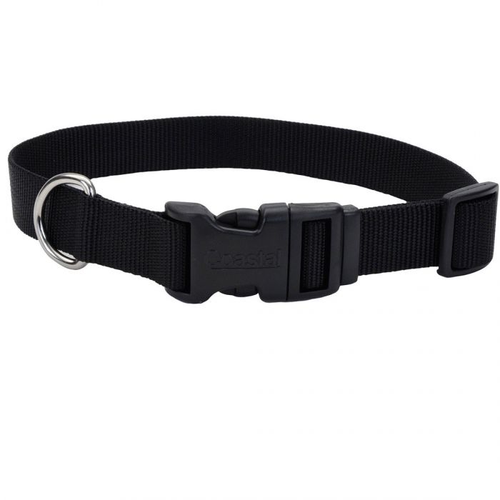Coastal Adjustable Nylon Collar w Tuff Buckle Black Dog 1"X18-26"