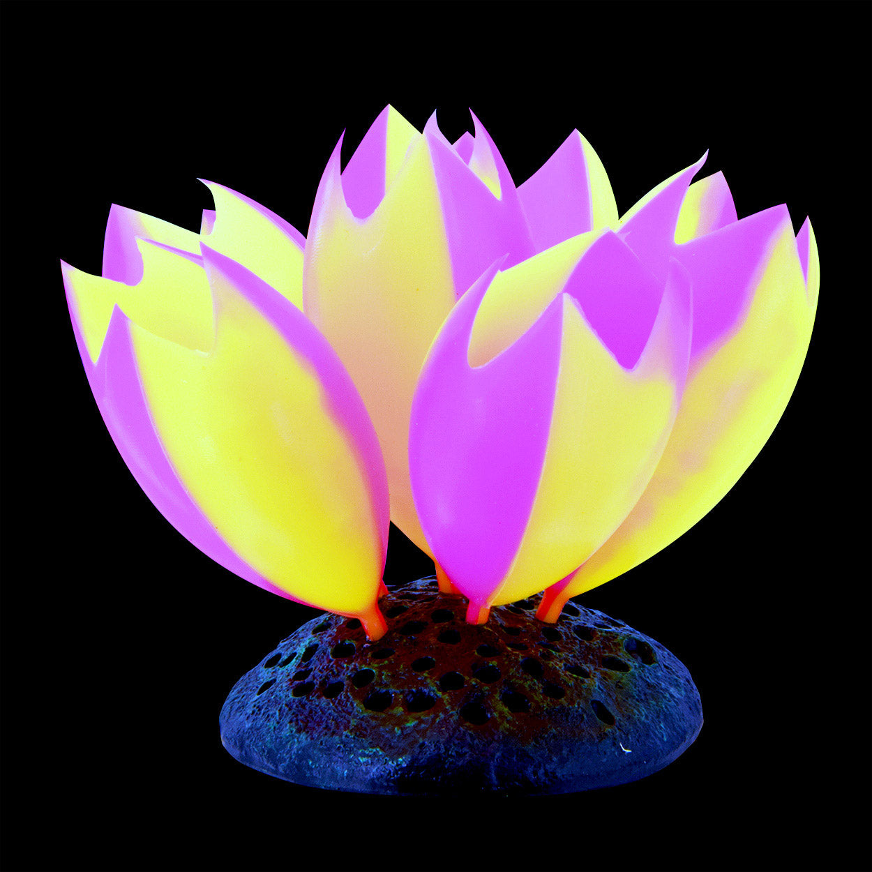 Underwater Treasures Glow Action Sea Squirts - Rose