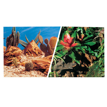 Marina Terrarium & Bromeliad Background 12" Tall Roll
