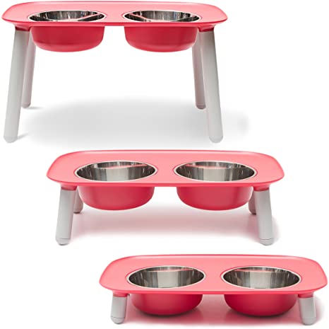 MessyMutts Elevated Double Feeder With Bowls Watermelon