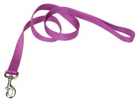 Coastal Single Ply Nylon Leash Orchid Dog 1in x 6ft