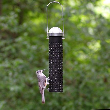 Perkys Pet Metal Peanut Feeder Bird 10in