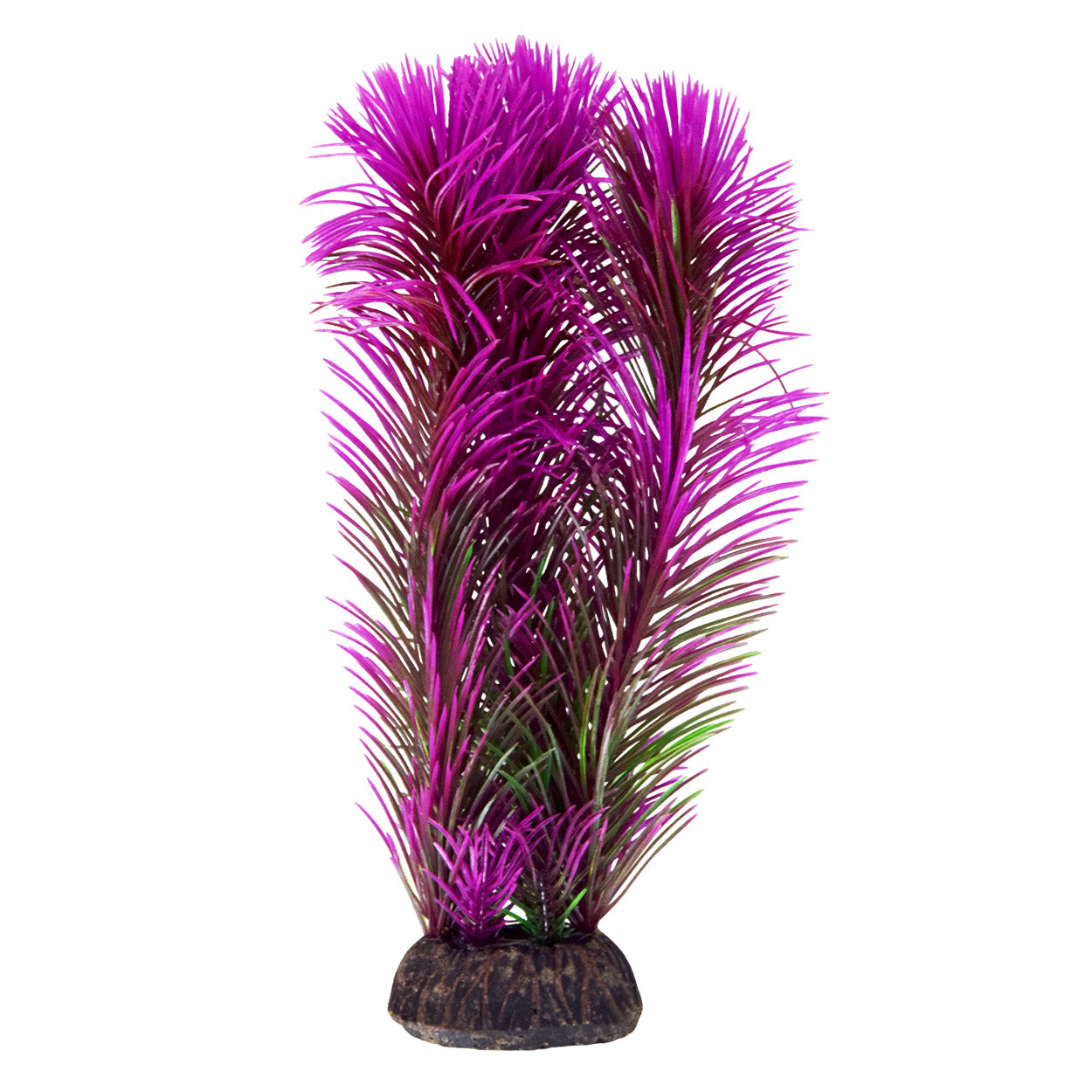 Ambulia - Purple - 8"