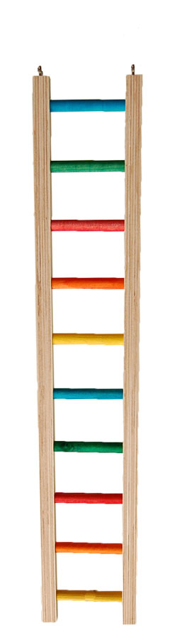 Zoo-Max Hardwood Ladder (4.50" W) 2' (COL)