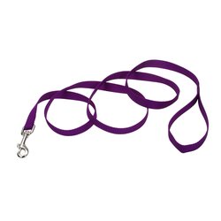 Coastal Single Ply Nylon Leash Purple Dog 3/4in x 6ft