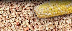 Pestell Corn Cob Bedding, 23 Litre
