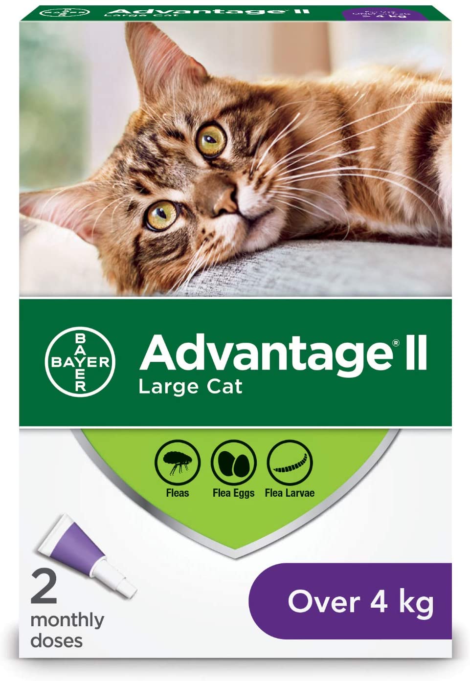 Advantage Ii Flea, Large Cat, Over 4Kg, 6 Doses
