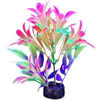 Marina iGlo Plant - 14 cm (5.5 in)