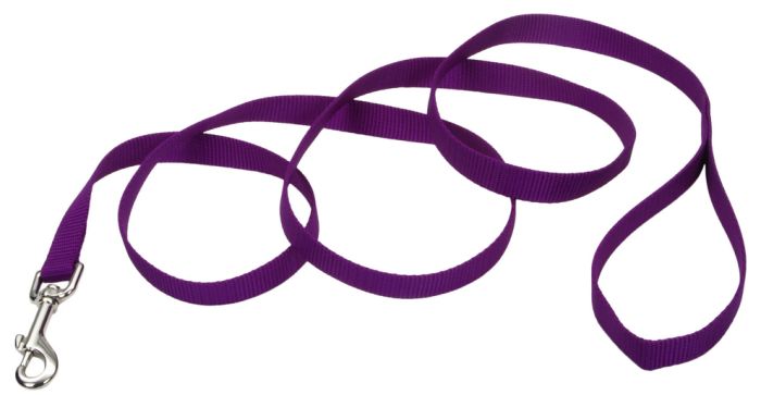 Coastal Single Ply Nylon Leash Red Dog 1pc 1inx6ft