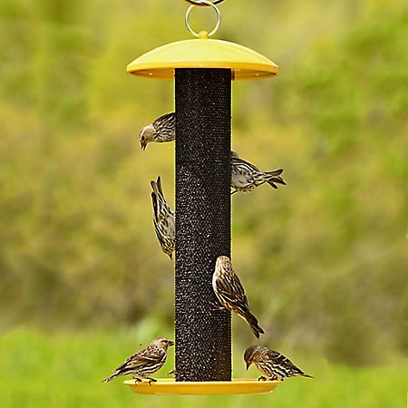 No No Straight Sided Finch Tube Feeder Bird