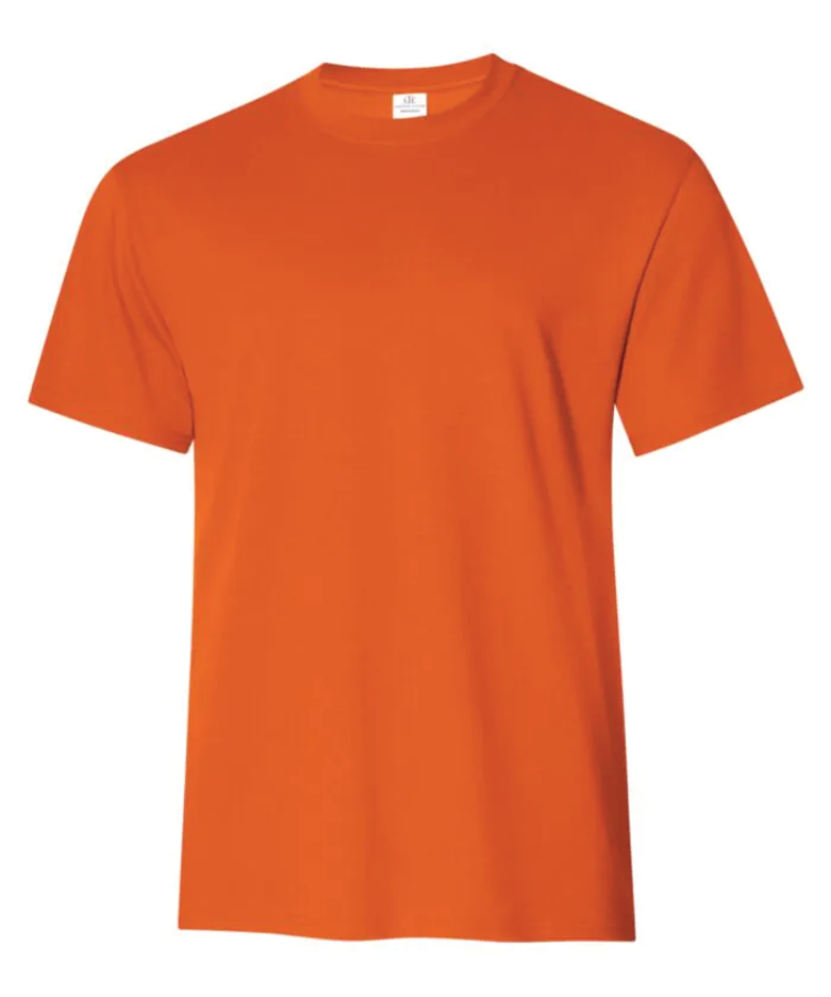 ATC EVERYDAY RING SPUN COTTON TEE. ATC2000