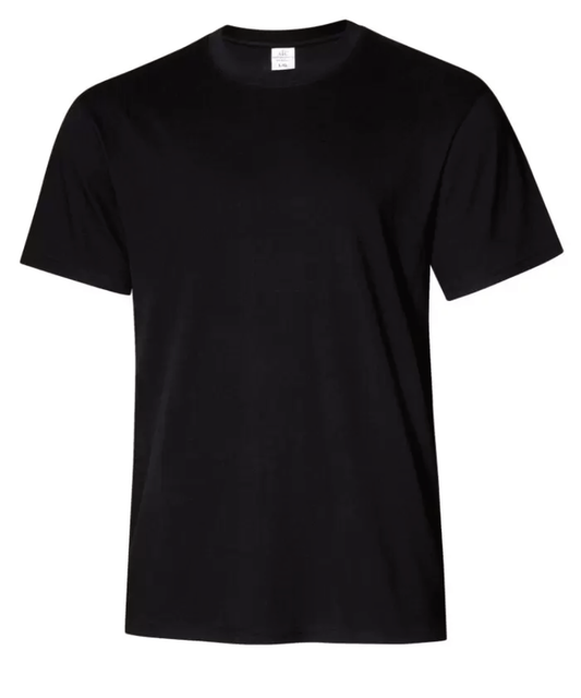 ATC EVERYDAY RING SPUN COTTON TEE. ATC2000