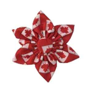 Pinwheel, O Canada, Red & White, S