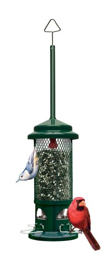 Brome Squirrel Buster Standard Bird