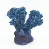 AQUA-FIT Polyresin Colt Coral 2x1.5x2in