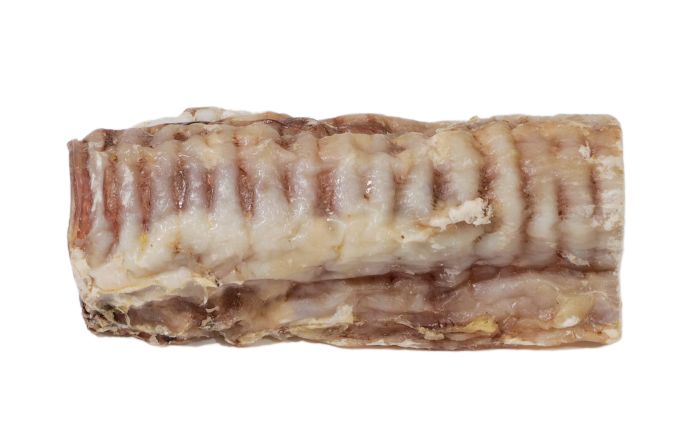 Gabo Beef Trachea Dog 5-6in