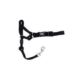 Walk N Train Head Halter - Size 0 X-Small Black