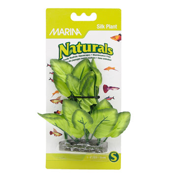 Marina Naturals Green Foreground Silk Plant, 12.5-15 cm (5-6")