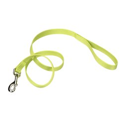 Coastal Single Ply Nylon Leash Lime Dog 3/4in x 6ft