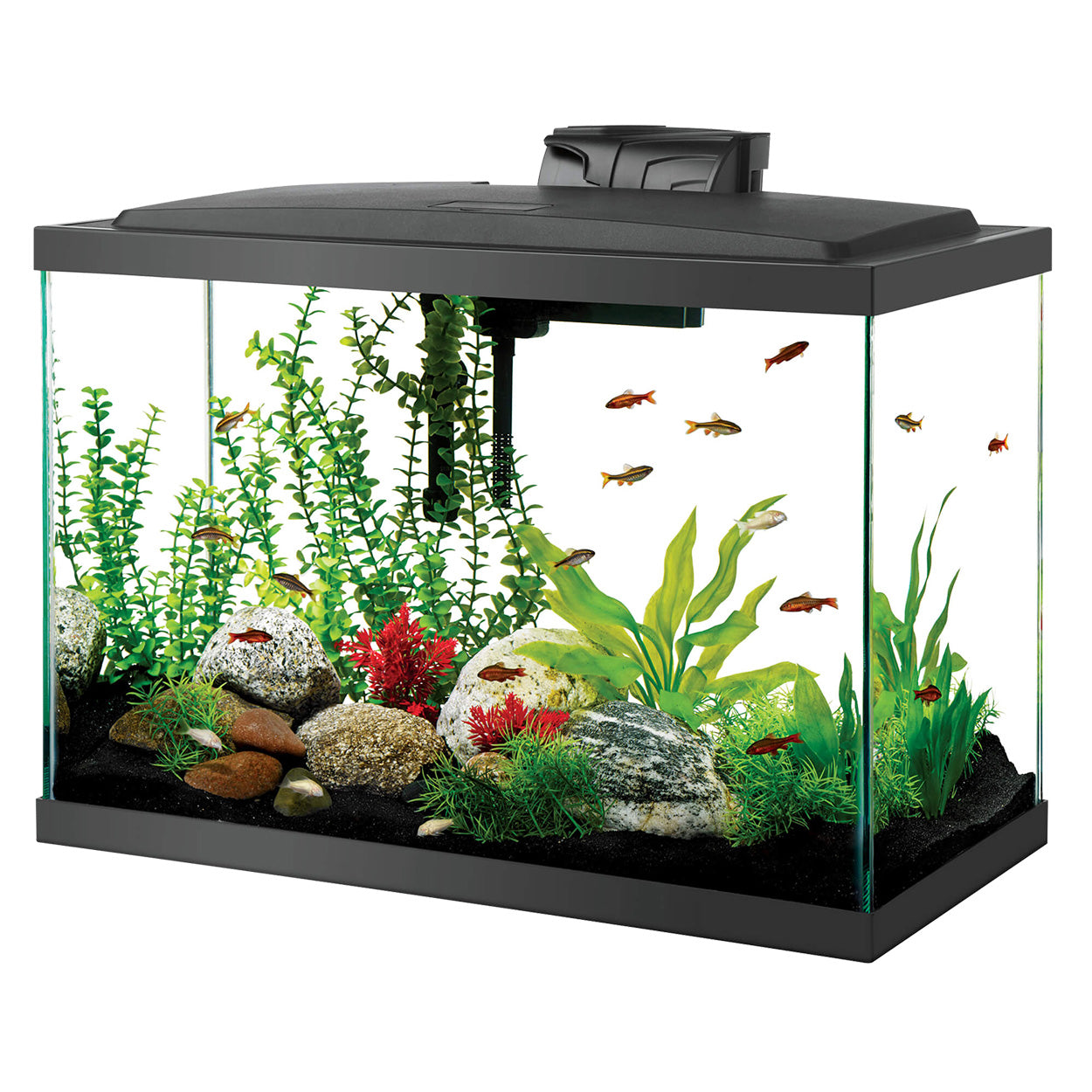 AQUEON LED Aquarium Kit - 20 gal - High