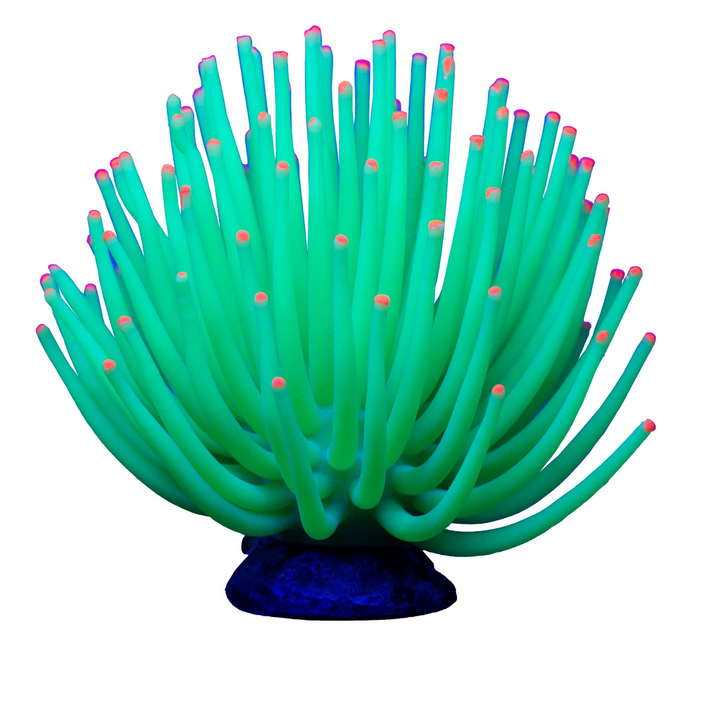 Spectrum Brands GloFish Anemone Large Green