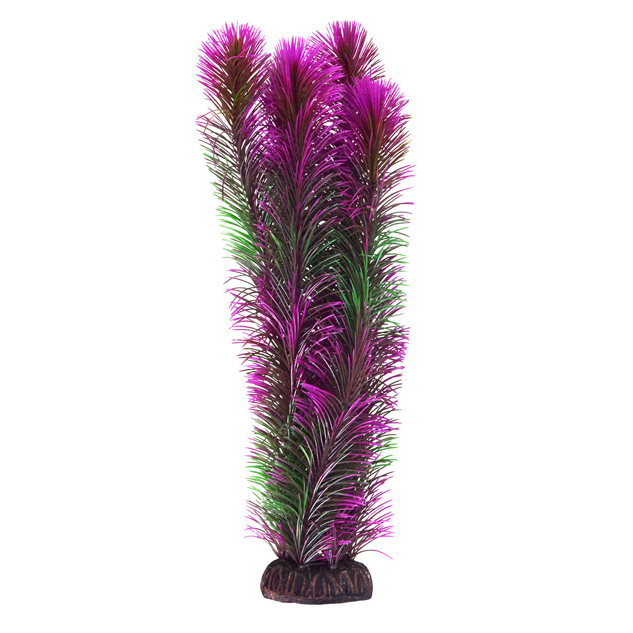 Ambulia - Purple - 16"