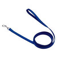 Coastal Single Ply Nylon Leash Blue Dog 5/8in x 6ft
