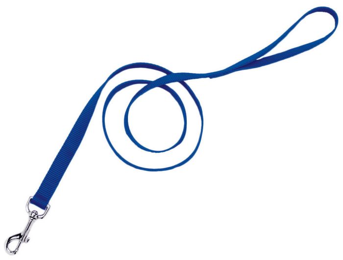 Coastal Single Ply Nylon Leash Blue Dog 1pc 1inx6ft
