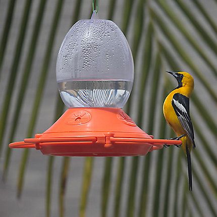 Perkys Pet Oriole Feeder Bird 32oz