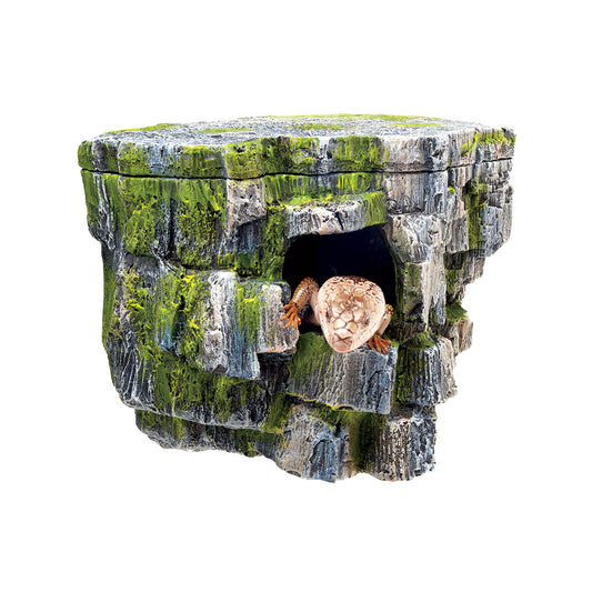 Vertical Dcor - Rock Cave