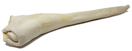 Open Range Bull Tail Full Length Dog 20pc