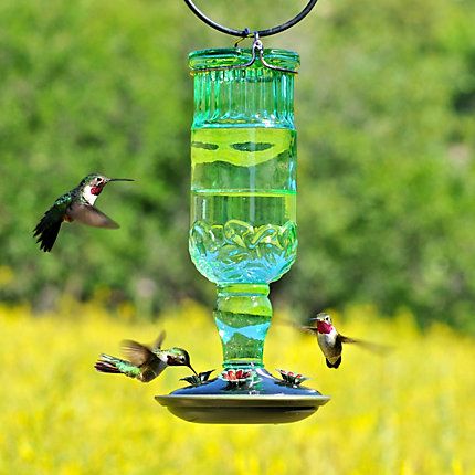 Perkys Pet Antique Green Bottle Hummingbird Feeder Bird 24oz