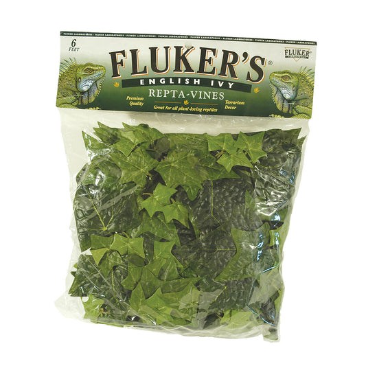 Repta-Vines - English Ivy - 6"